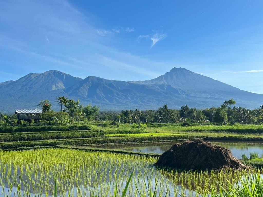New Rinjani Homestay Тетебату Экстерьер фото