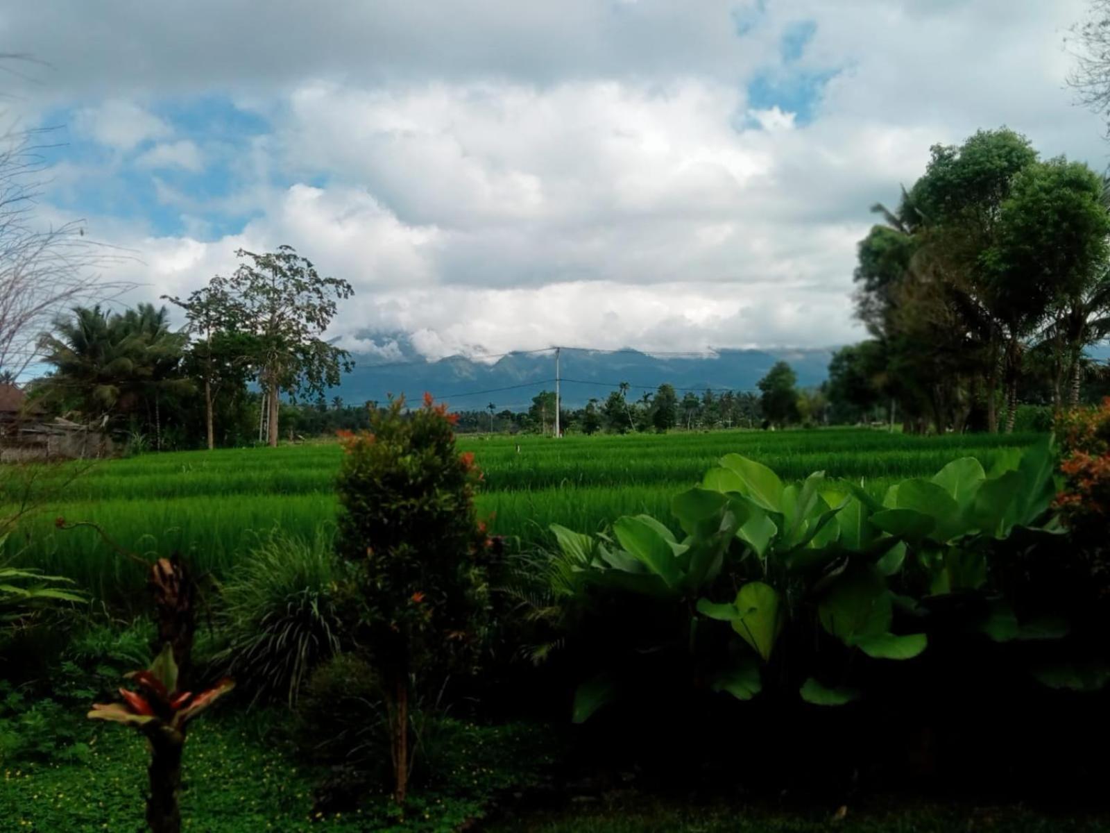 New Rinjani Homestay Тетебату Номер фото