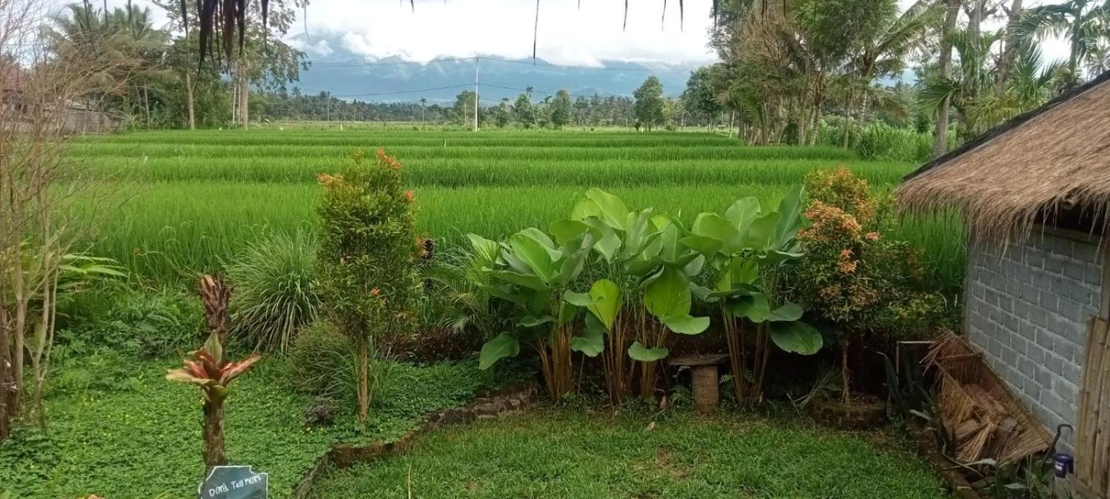 New Rinjani Homestay Тетебату Номер фото
